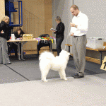 pc054691 pc054691