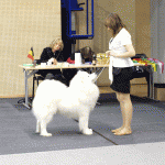 pc054701 pc054701