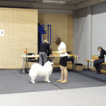 pc054737 pc054737