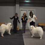 pc054812 pc054812