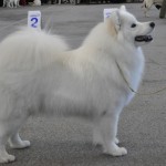dsc_0730_3781